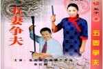 五妻争夫 单碟DVD