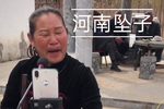 金宝童
