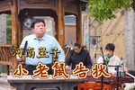 小老鼠告状