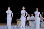 大槐树的故事