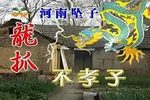 龙抓不孝子