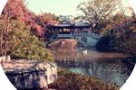 陈元打擂 全本（1~10集）