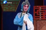桃花庵 九尽春回