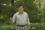 小八义 贾氏女梳头 乔双锁