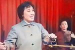 黛玉悲秋