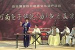 一百零八侠 河南坠子