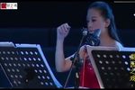 夜明珠传奇