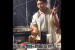 孬老婆劝闺女