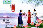 岳飞传 全集