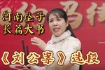 刘公案 河南坠子长篇大书选段