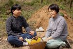 妯娌情 最新高清实景