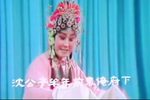 双玉蝉