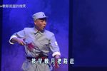 掩护 2019年