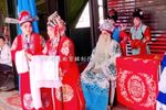 双玉蝉