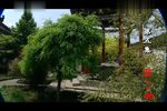 陈三两 5-8集