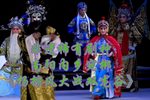 杨排风大战双龙谷