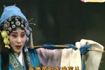 花庭会 全剧