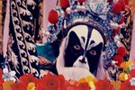 敬德之死 选段