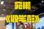 收岑彭 选段