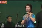 河南曲剧名家张兰珍专场晚会05，名家荟萃戏韵