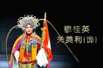 穆桂英挂帅 高清