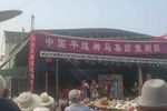 疯哑怨
