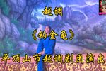 钓金龟