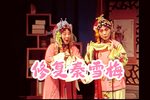 秦雪梅