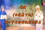 白莲花下凡