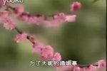 李天保取妻