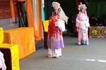 苏云妆下山