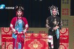 李天保娶亲下载