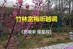 历艰辛 保皇叔