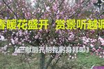 三献爵孔明我躬身拜叩