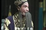 收姜维·三传令 片段