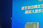 打金砖 片段