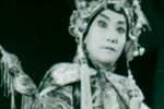 杨门女将