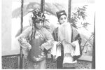 招风树 1983年许昌越调剧团录音