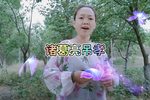 诸葛亮吊孝