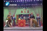 李天宝娶亲 公堂