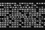 收姜维 全剧高清修复版