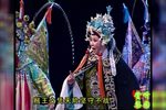 杨门女将 巡营一折