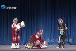李天保娶亲下载