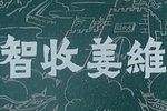智收姜维 1981下载