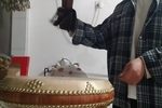 哭黛玉,听琴