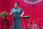 桃花庄 2落