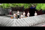 中华儿女心向党 献礼国庆版
