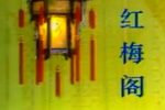 京韵大鼓骆玉笙音配像集
