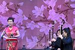 黛玉焚稿 返场小段