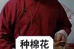 种棉花